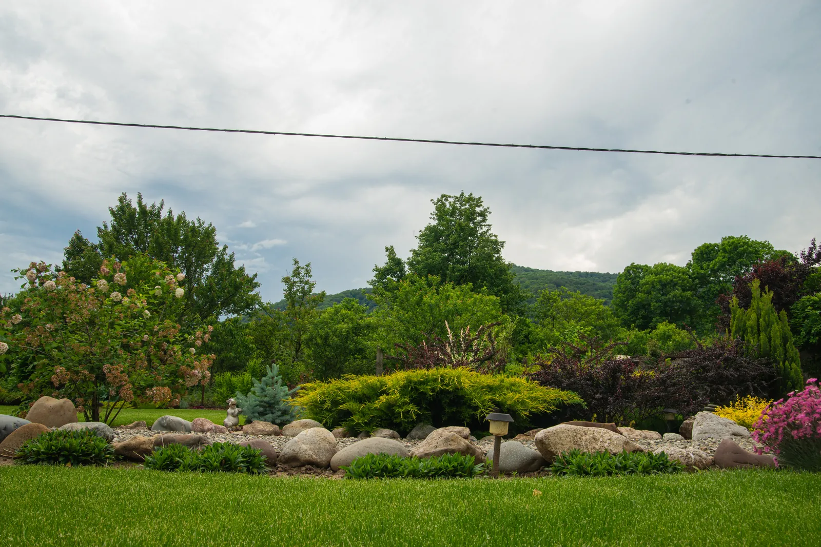 Территория